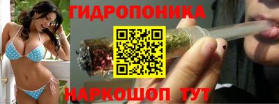 сатива Малгобек
