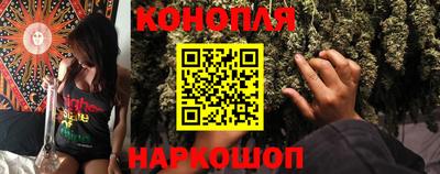 сатива Малгобек