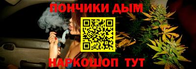 сатива Малгобек