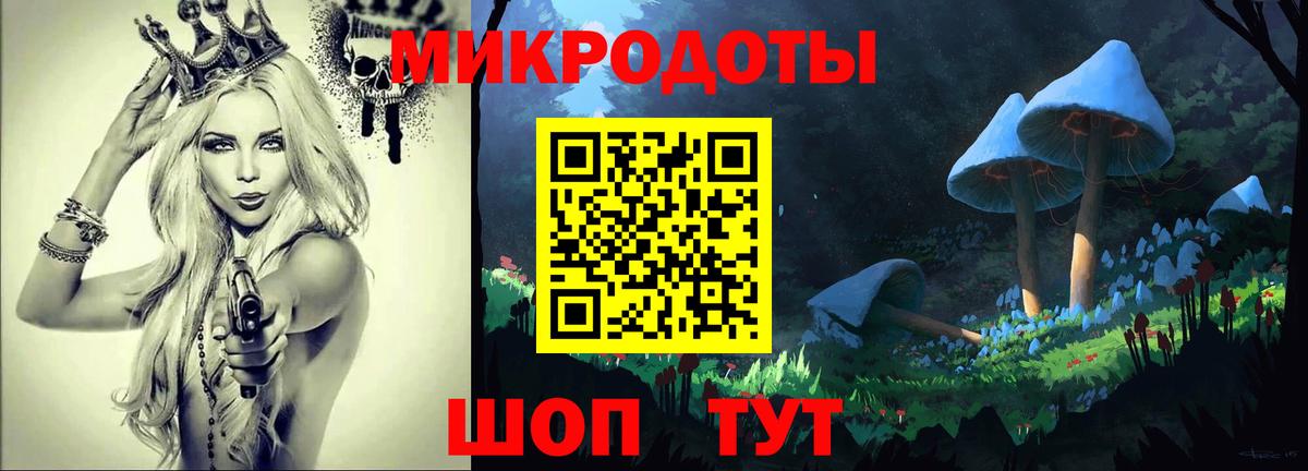 Псилоцибиновые грибы Cubensis Югорск